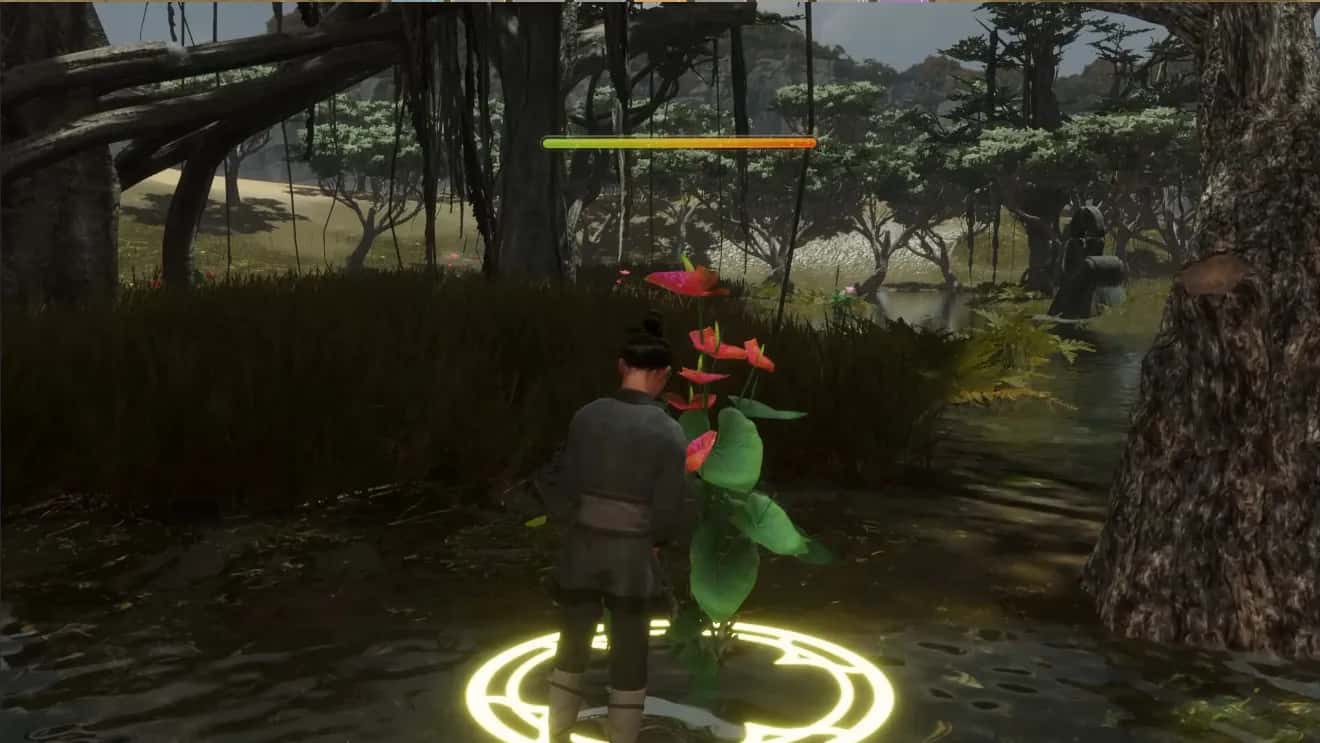 视觉数据5